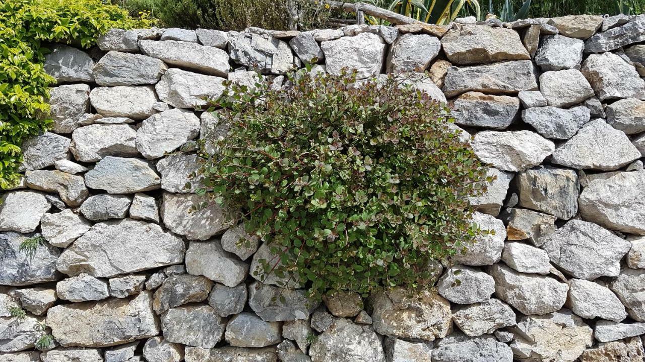 Ancient Estate "Il Trignano" Villa Vietri Kültér fotó