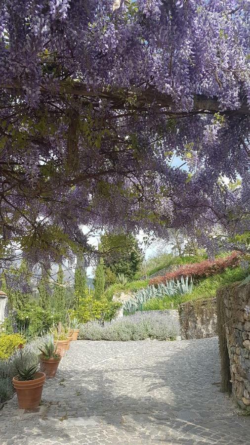 Ancient Estate "Il Trignano" Villa Vietri Kültér fotó