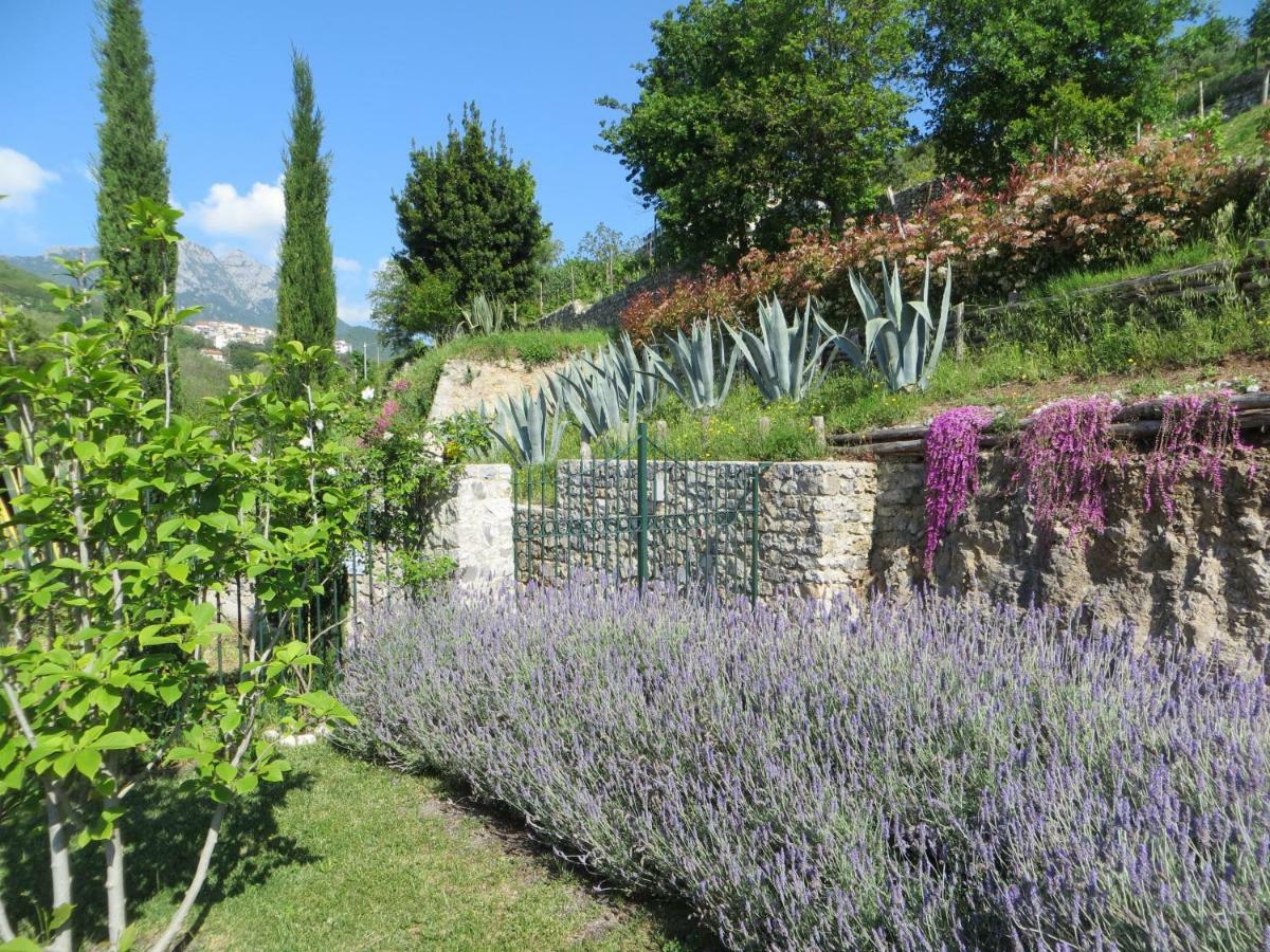 Ancient Estate "Il Trignano" Villa Vietri Kültér fotó
